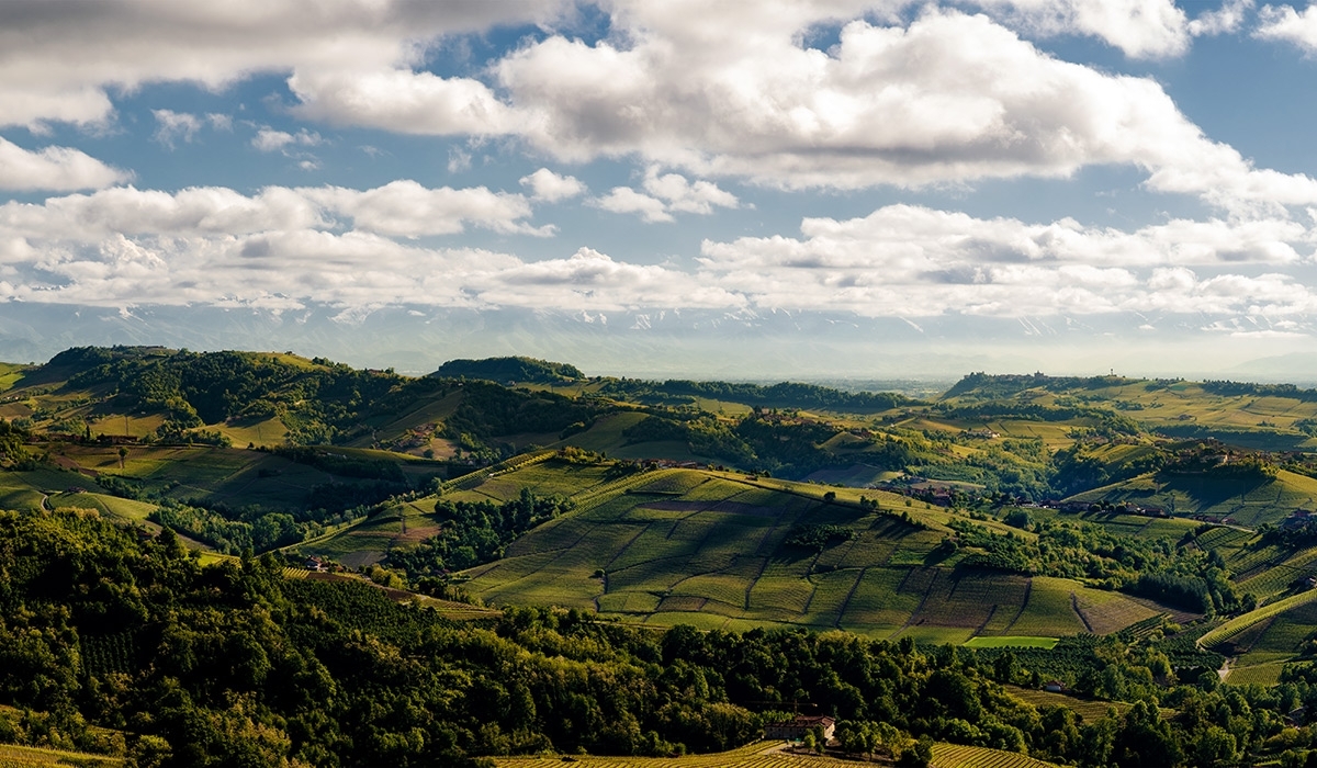 Benvenuti nelle Langhe.